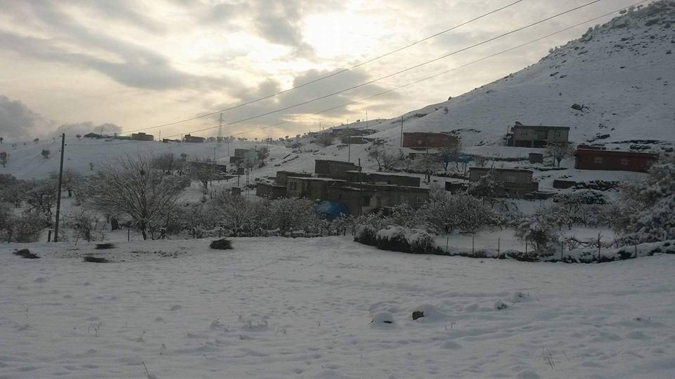 Baykan Narlıyurt Köyü Resimleri 12