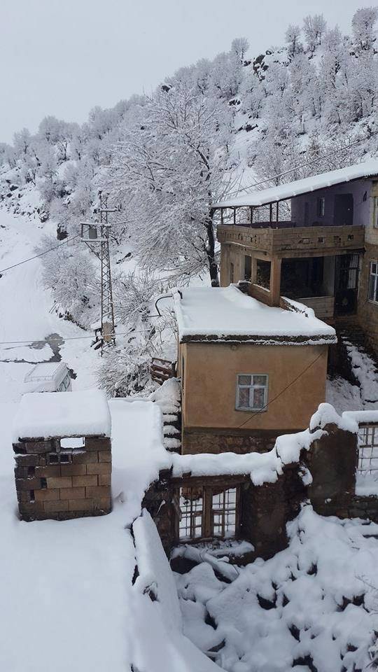 Baykan Narlıyurt Köyü Resimleri 2