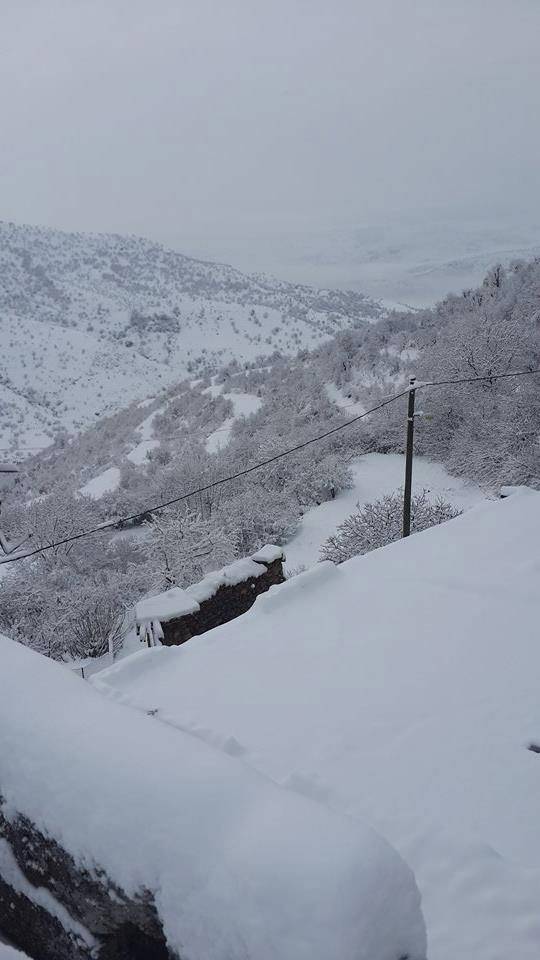 Baykan Narlıyurt Köyü Resimleri 4