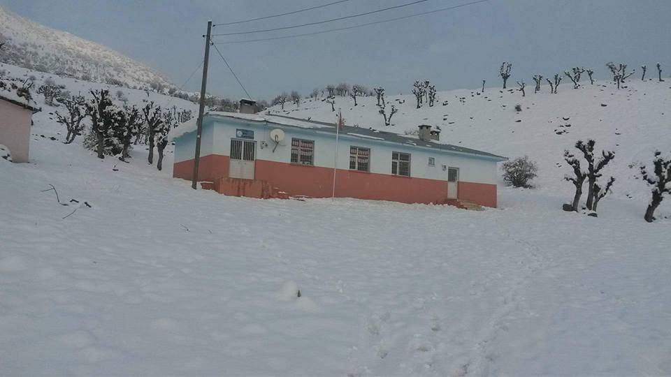 Baykan Narlıyurt Köyü Resimleri 7