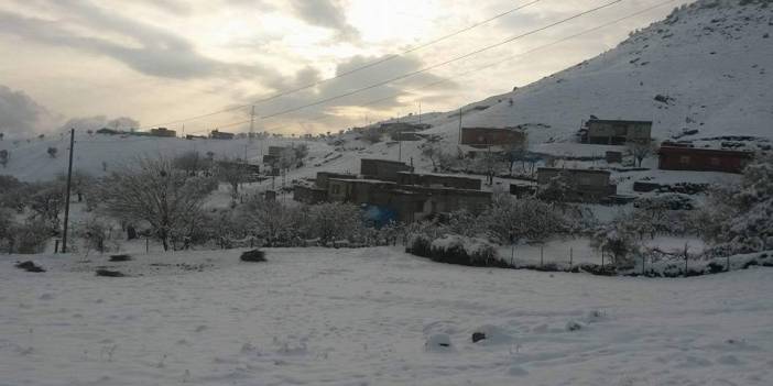 Baykan Narlıyurt Köyü Resimleri