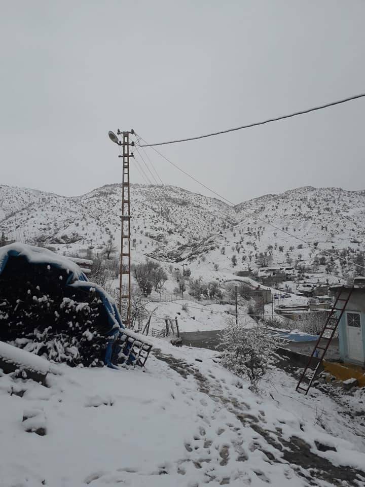 Baykan Obalı Köyü Resimleri 7