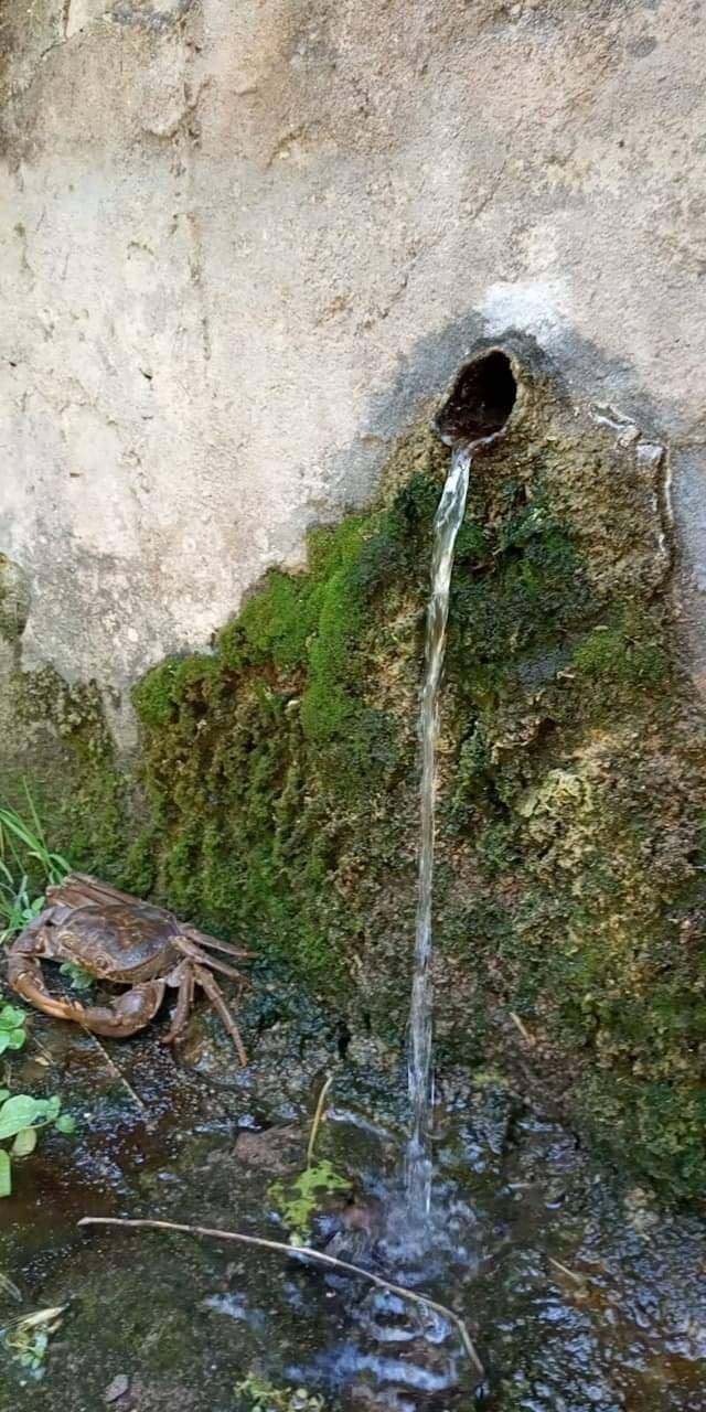 Baykan Obalı Köyü Resimleri 8