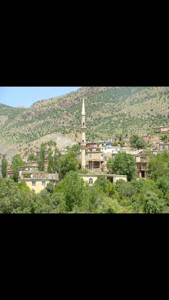 Baykan Ormanpınar Köyü Resimleri 1