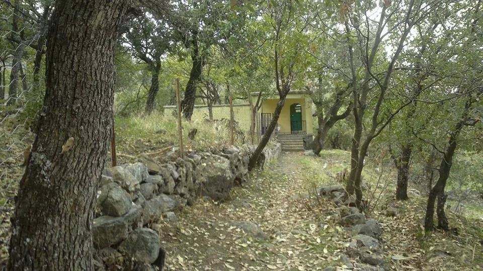 Baykan Ormanpınar Köyü Resimleri 2