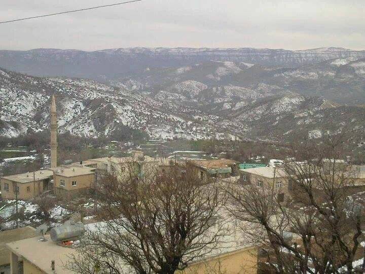 Baykan Ormanpınar Köyü Resimleri 5