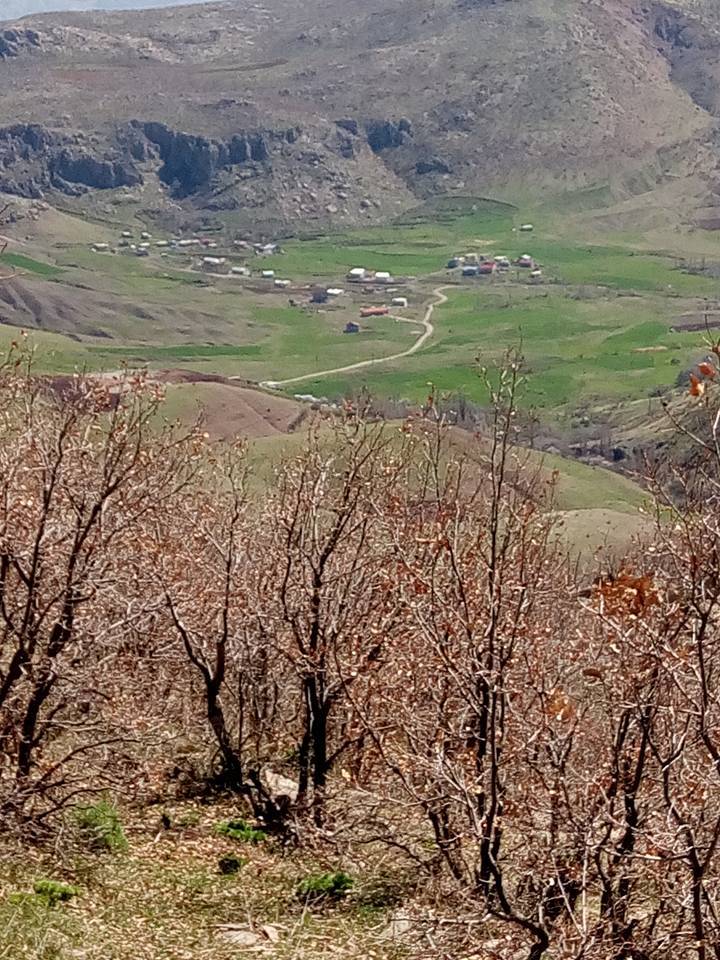 Baykan Sarıdana Köyü Resimleri 1
