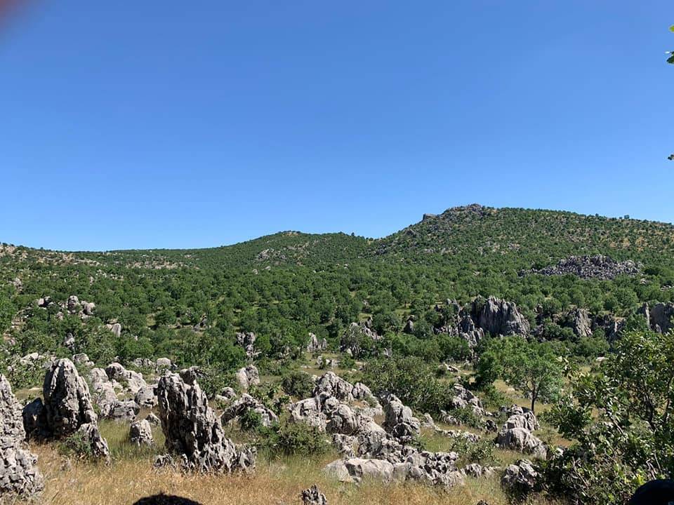 Baykan Sarıdana Köyü Resimleri 3