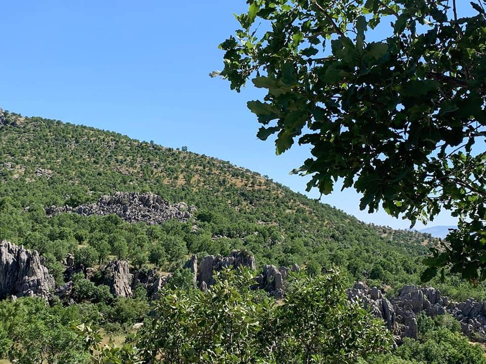 Baykan Sarıdana Köyü Resimleri 4