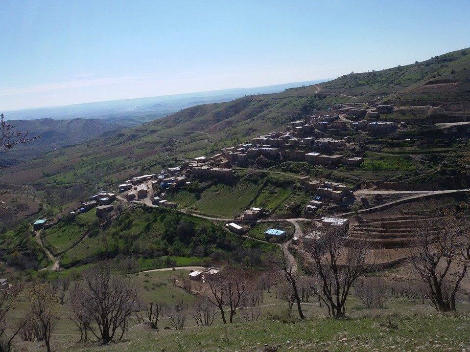 Baykan Sarısalkım Köyü Resimleri 2