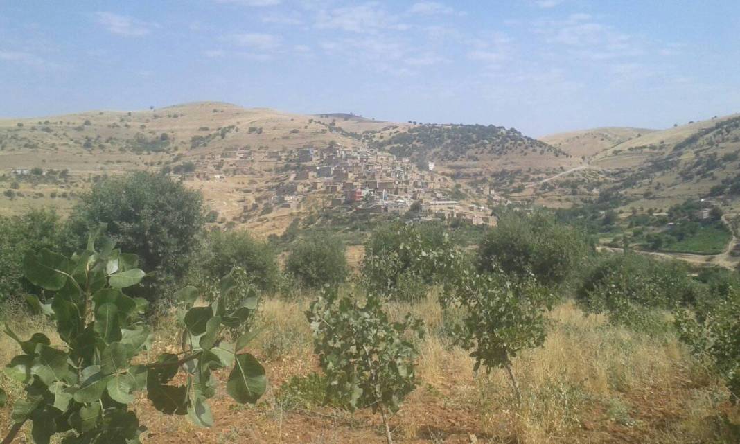 Baykan Sarısalkım Köyü Resimleri 5