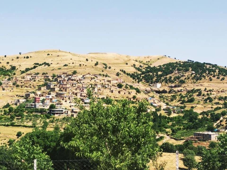 Baykan Sarısalkım Köyü Resimleri 6