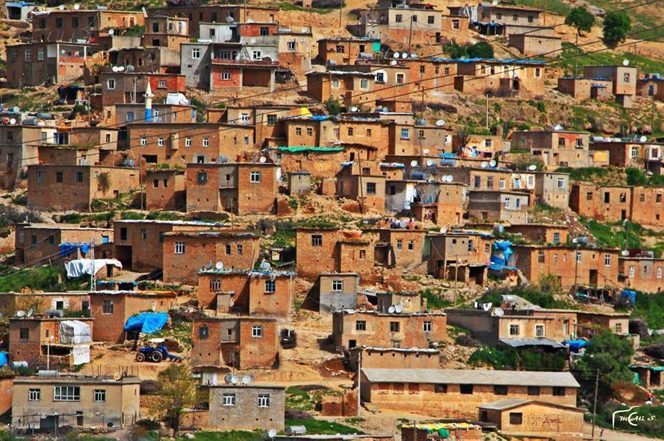 Baykan Sarısalkım Köyü Resimleri 8