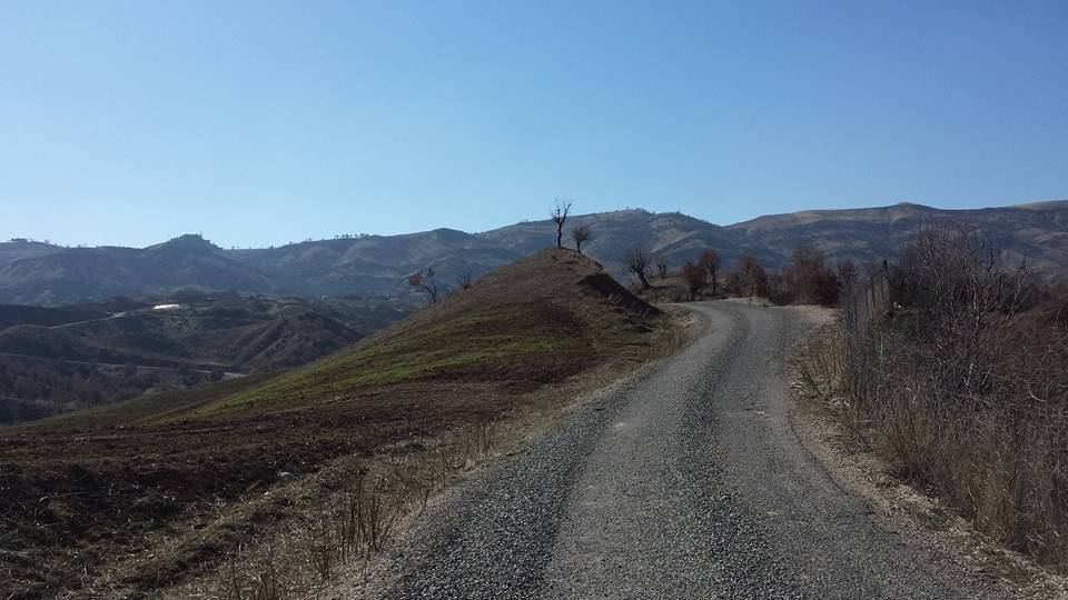 Baykan Tütenocak Köyü Resimleri 1