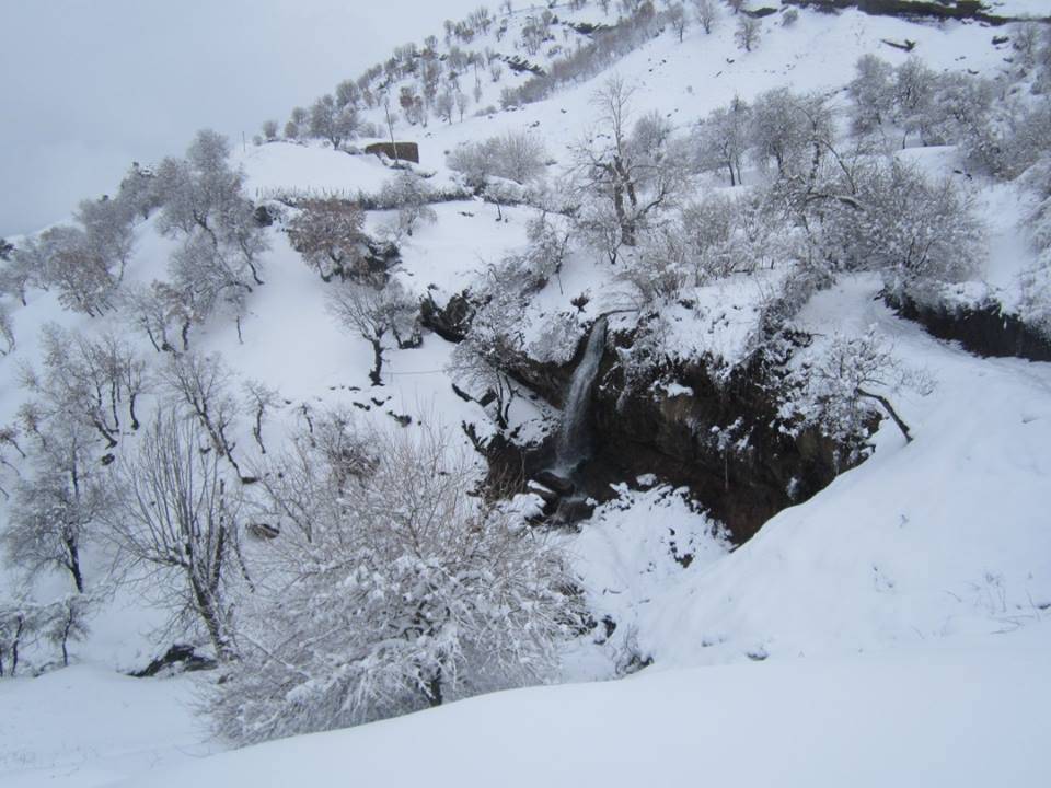 Baykan Tütenocak Köyü Resimleri 2