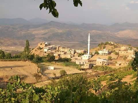 Baykan Tütenocak Köyü Resimleri 7