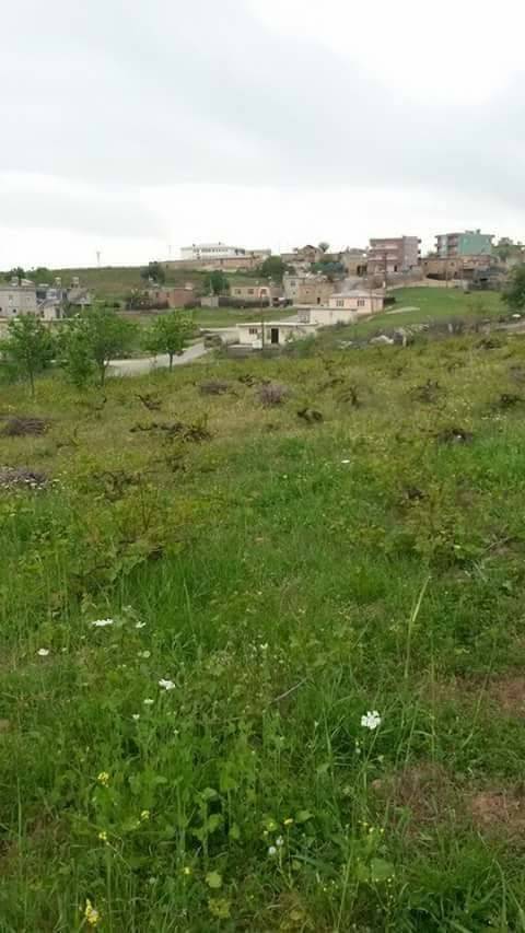 Baykan Tütenocak Köyü Resimleri 8