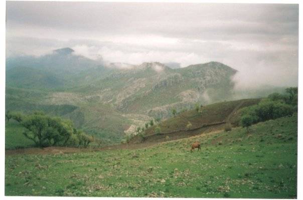 Baykan Ulaştı Köyü Resimleri 2