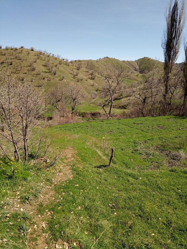 Baykan Ünlüce Köyü Resimleri 4