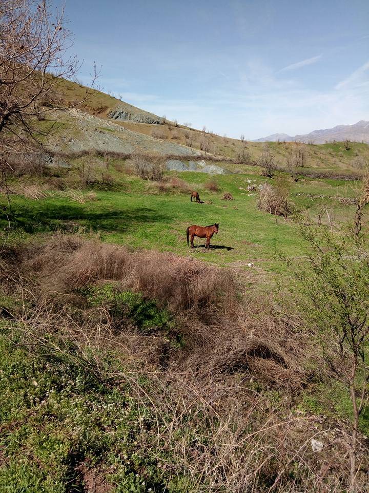 Baykan Ünlüce Köyü Resimleri 7