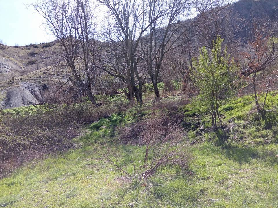 Baykan Ünlüce Köyü Resimleri 8