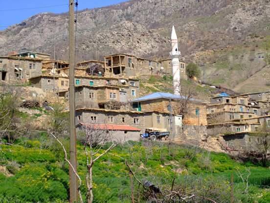 Baykan Yarımca Köyü Resimleri 3