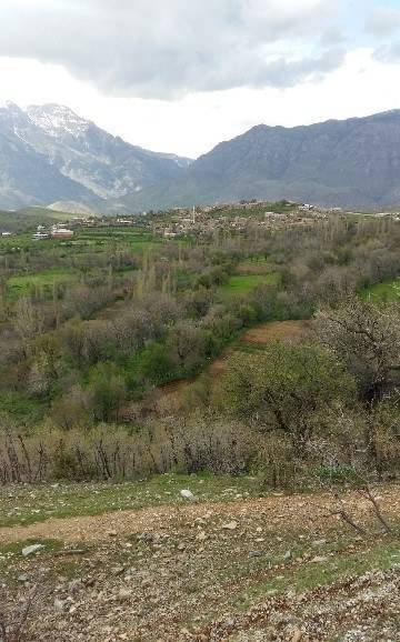 Baykan Yarımca Köyü Resimleri 5