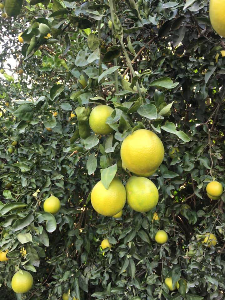 Akdeniz Kazanlı Köyü Resimleri 5