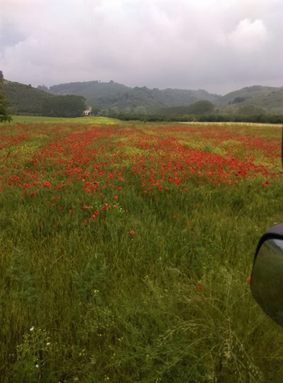 Karasu Karasu Köyü Resimleri 3