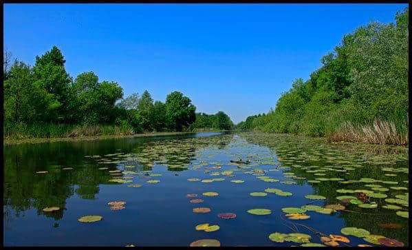 Karasu Karasu Köyü Resimleri 7