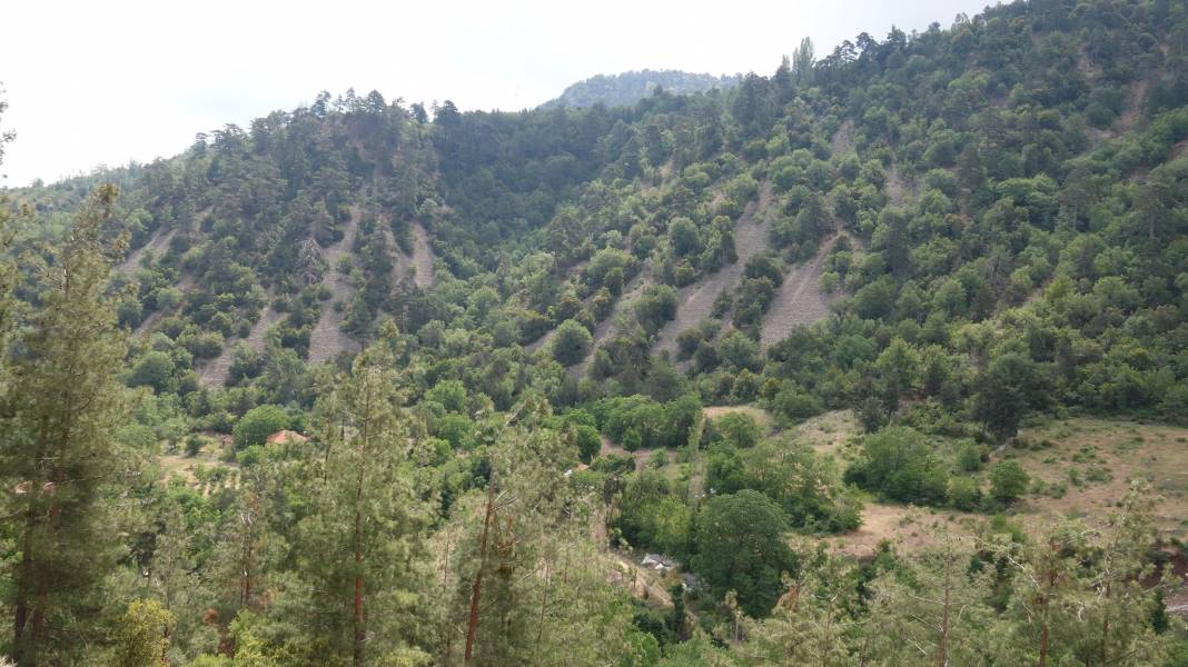 Akdeniz Kültür Köyü Resimleri 7