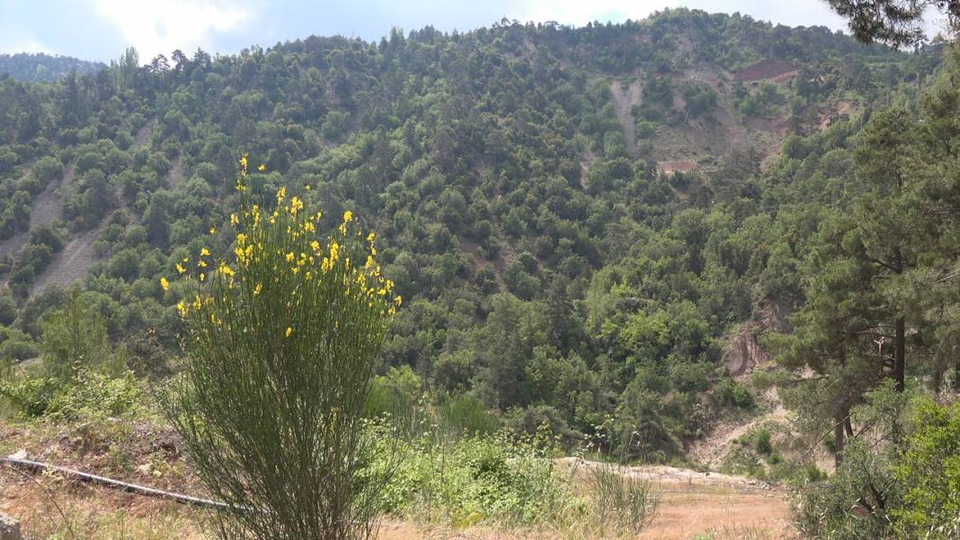 Akdeniz Kültür Köyü Resimleri 8