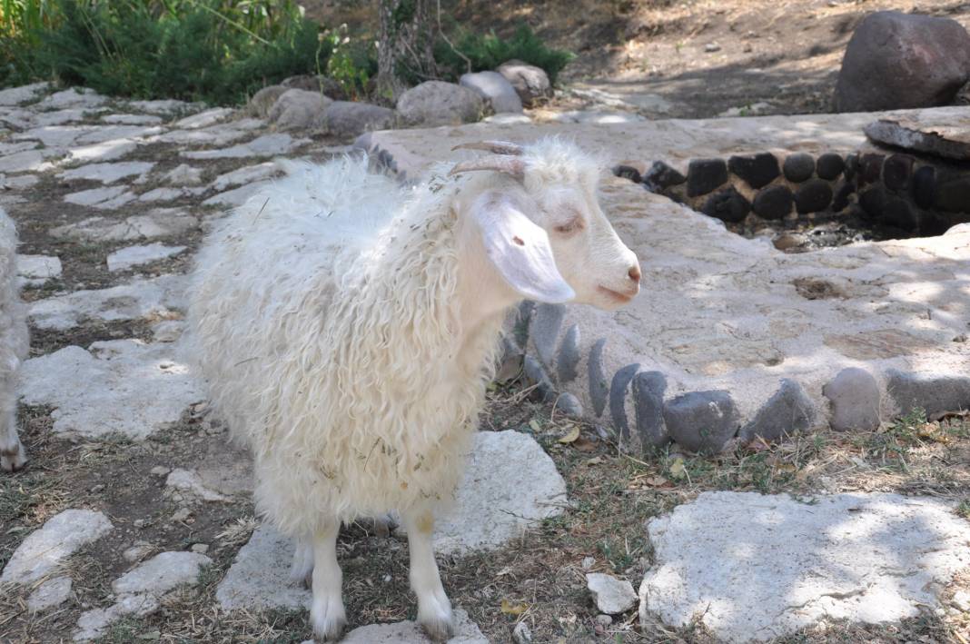 Akdeniz Kültür Köyü Resimleri 9