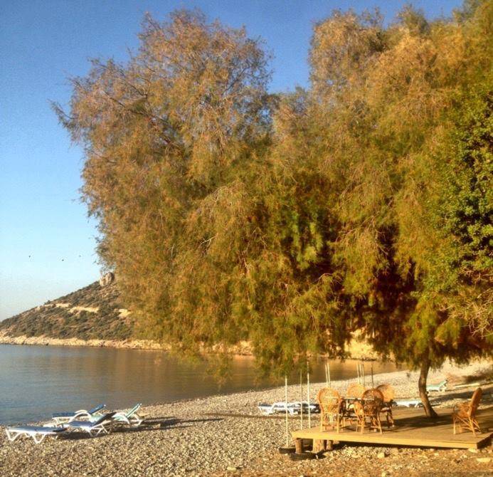 Akdeniz Mesudiye Köyü Resimleri 9