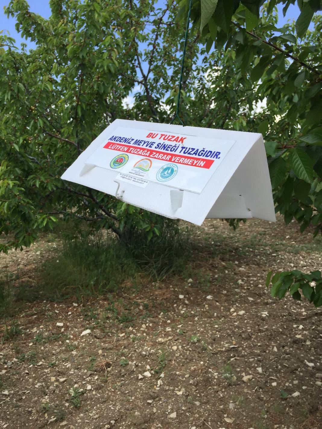 Akdeniz Mithatpaşa Köyü Resimleri 6