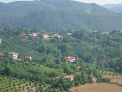 Karasu Paralel Köyü Resimleri 2