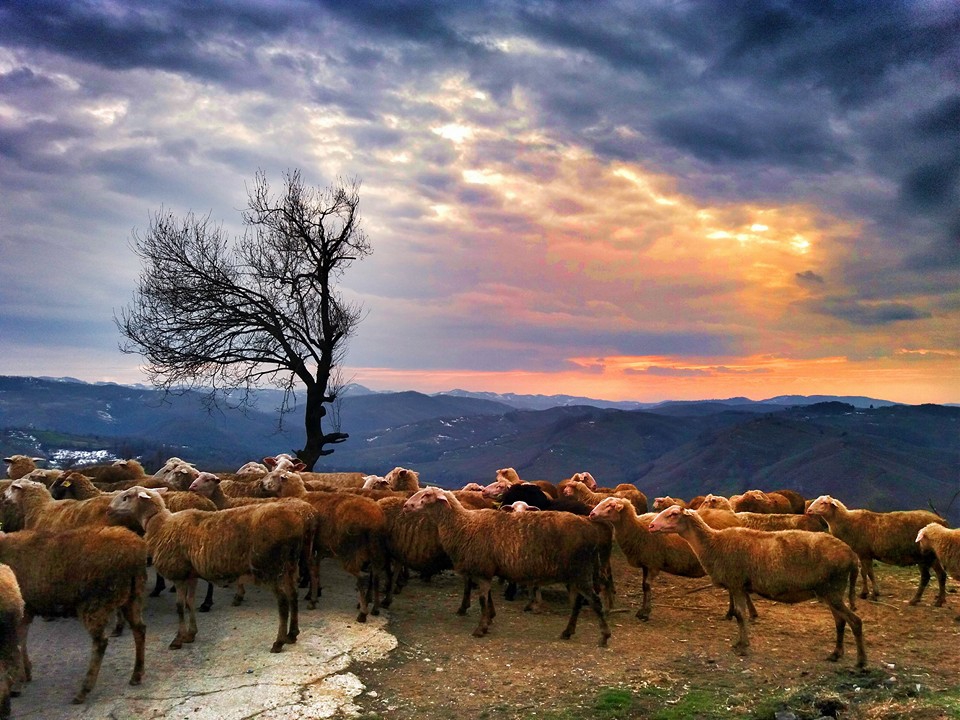Karasu Paralel Köyü Resimleri 8