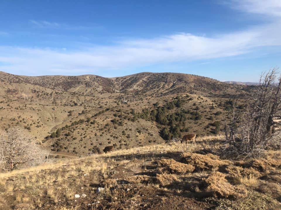 Sivas Akören Köyü Resimleri 4