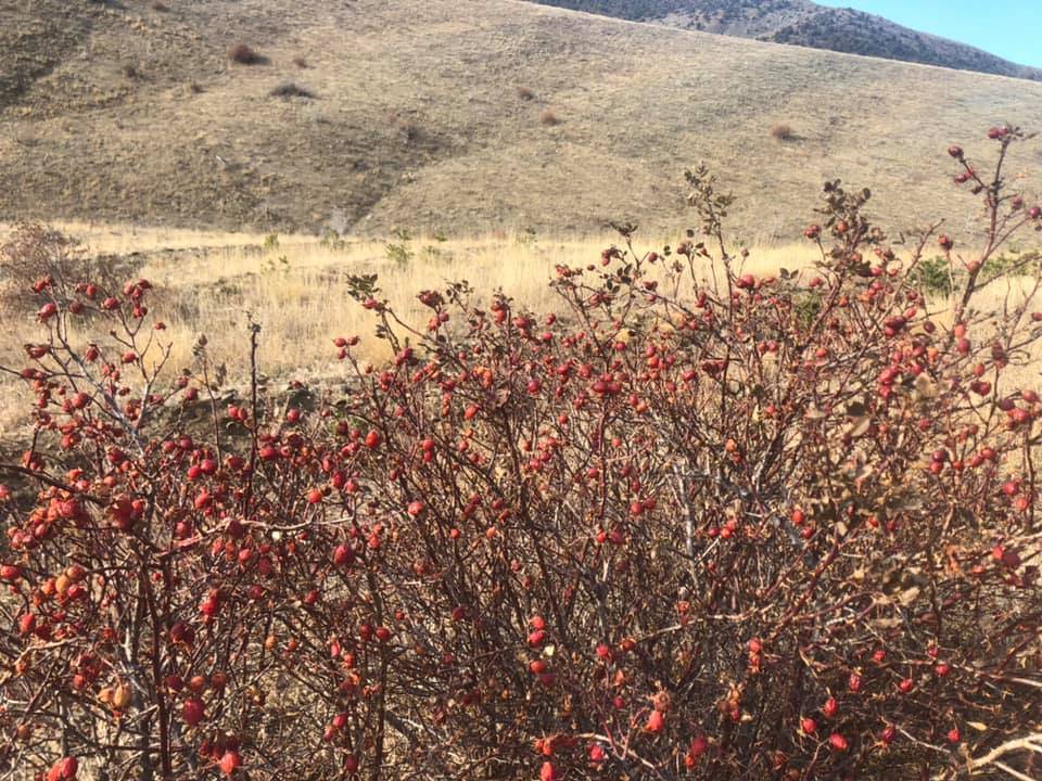 Sivas Akören Köyü Resimleri 5