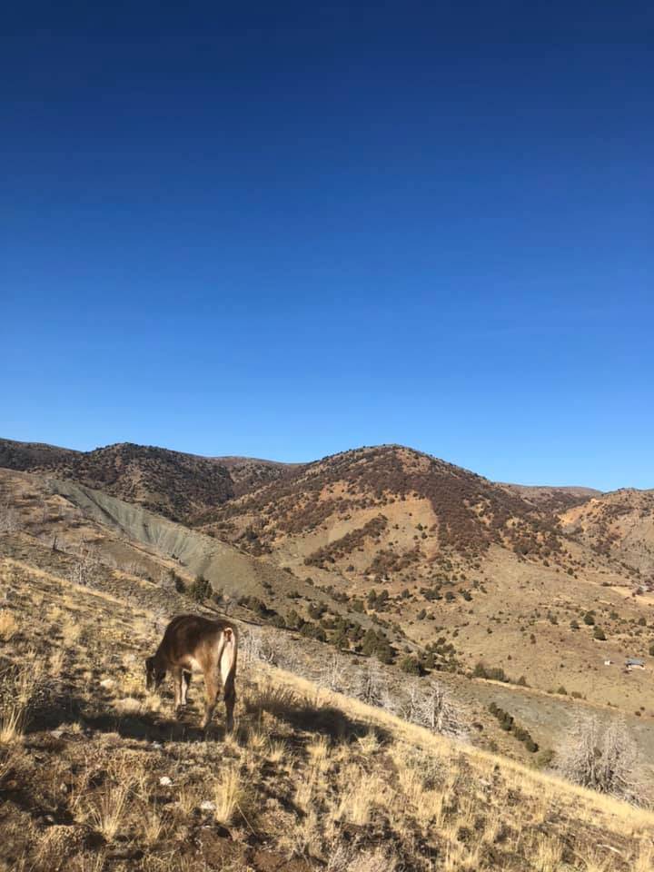 Sivas Akören Köyü Resimleri 8