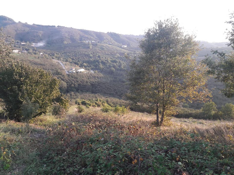 Karasu Kızılcık Köyü Resimleri 13