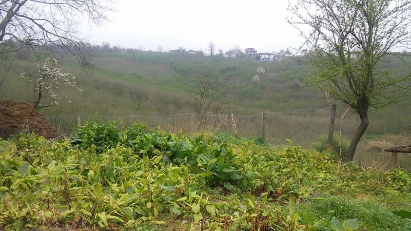 Karasu Kızılcık Köyü Resimleri 6