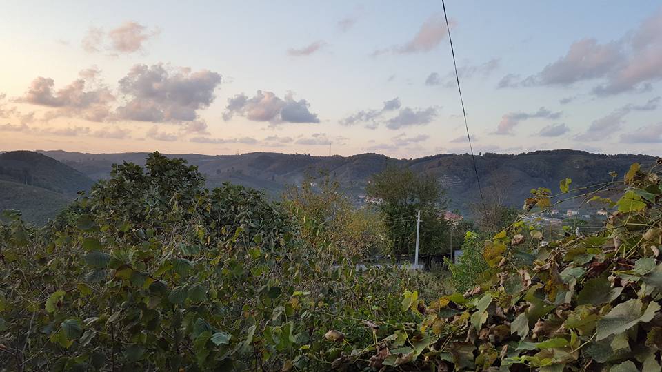 Karasu Kızılcık Köyü Resimleri 8