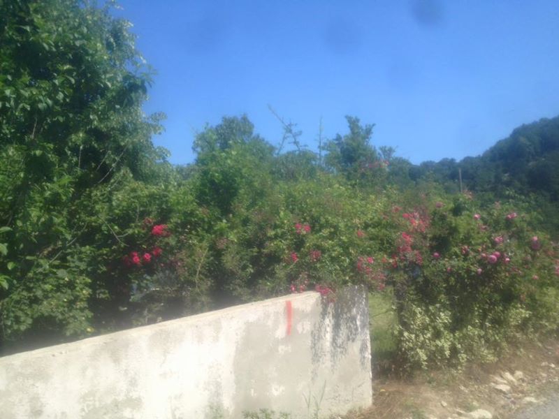 Karasu Kızılcık Köyü Resimleri 9