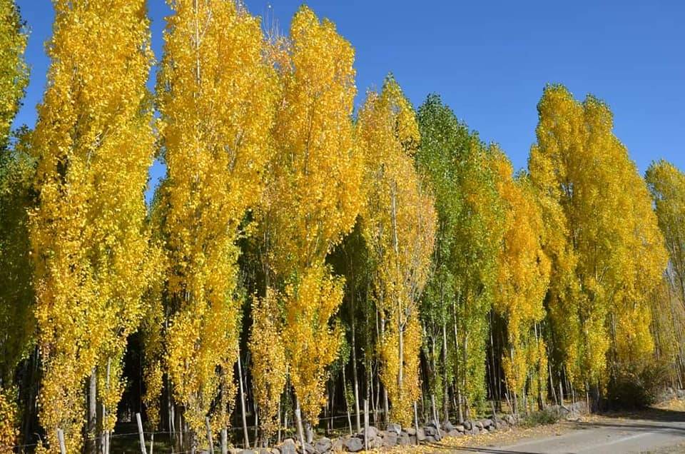 Akdeniz  Turgutreis Köyü Resimleri 3