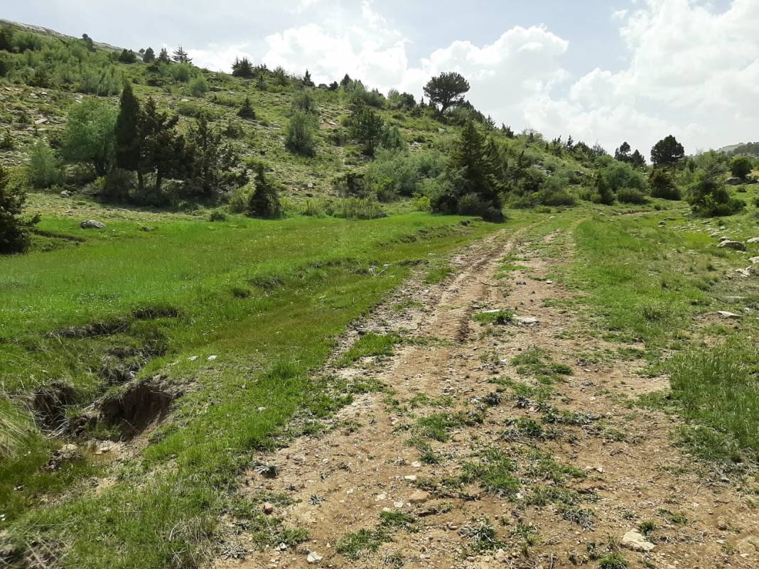 Akdeniz  Turgutreis Köyü Resimleri 4