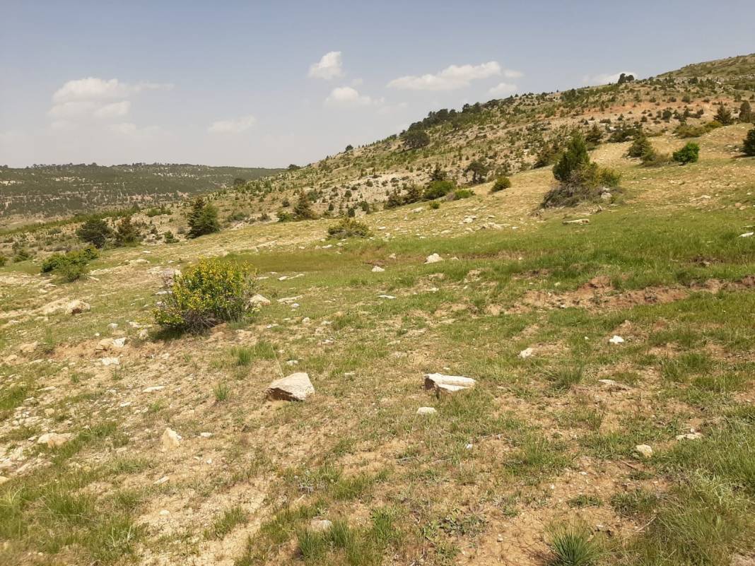 Akdeniz  Turgutreis Köyü Resimleri 7