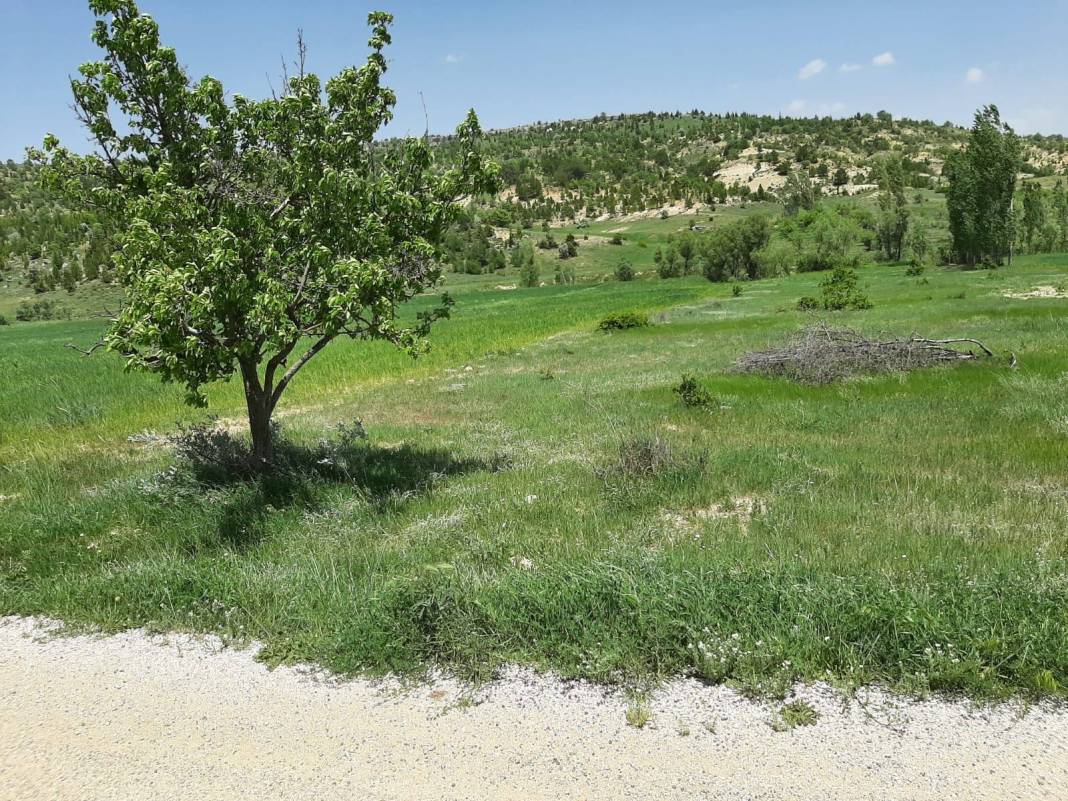 Akdeniz  Turgutreis Köyü Resimleri 8