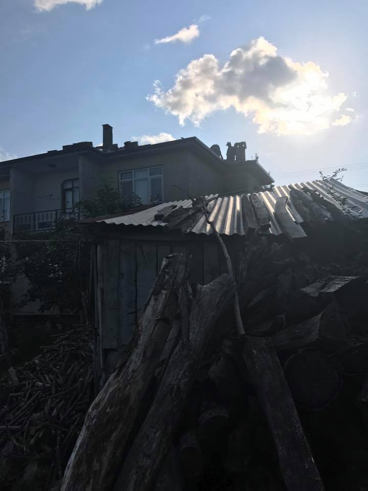 Karasu Resuller Köyü Resimleri 2