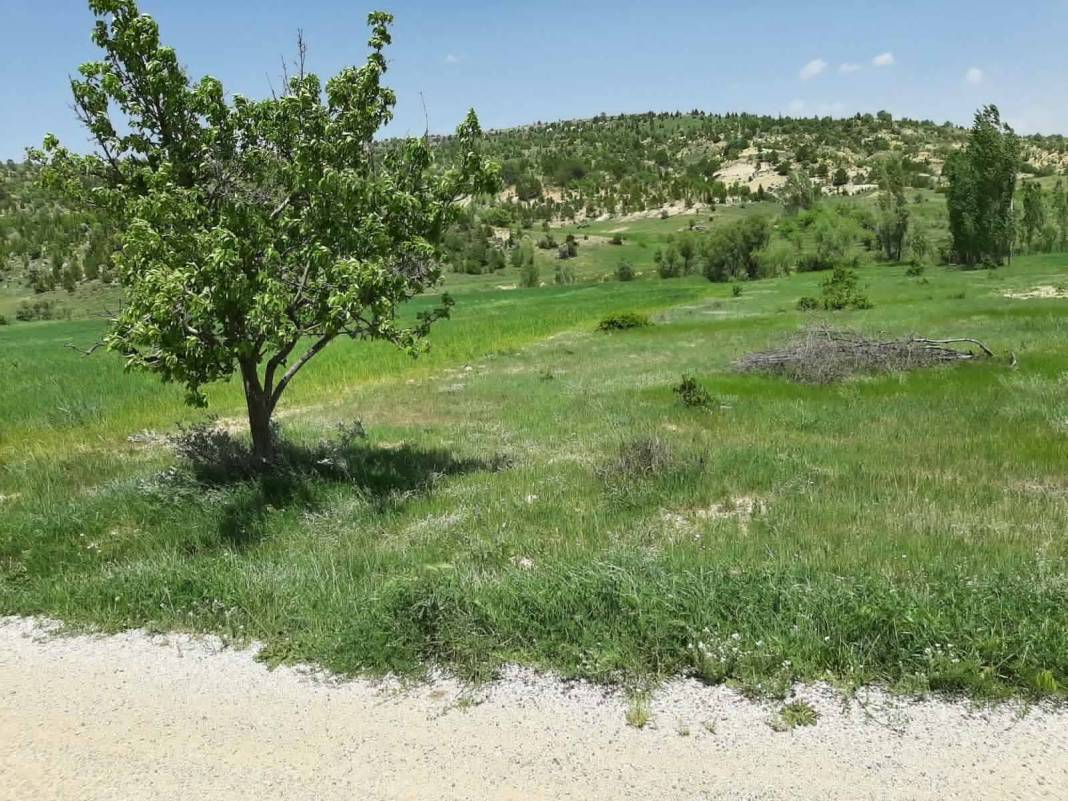 Akdeniz  Yeşilova Köyü Resimleri 7